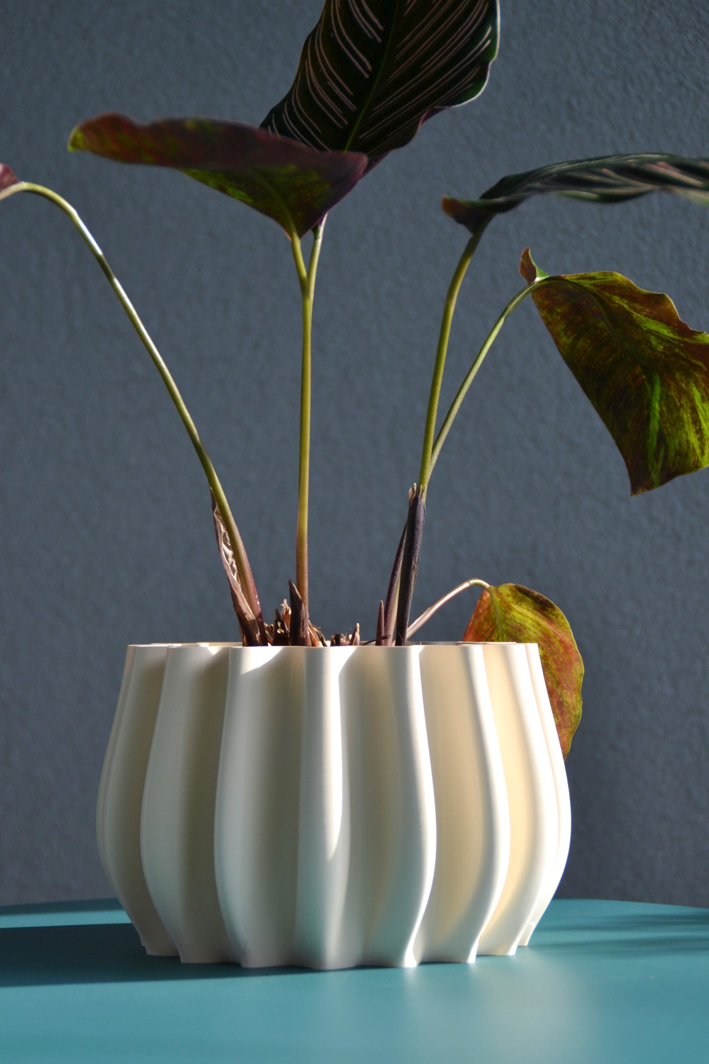 Vaso per piante, Ø 14 cm
