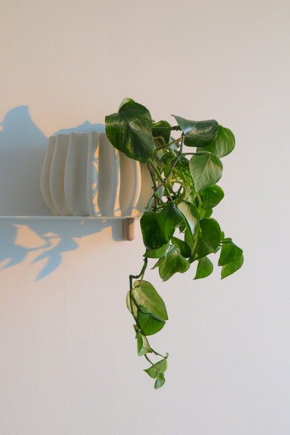 Vaso per piante, Ø 14 cm