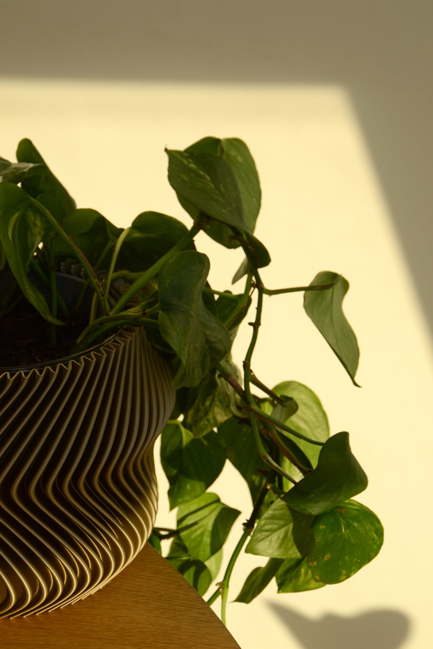 Plant Pot, Ø 14 cm