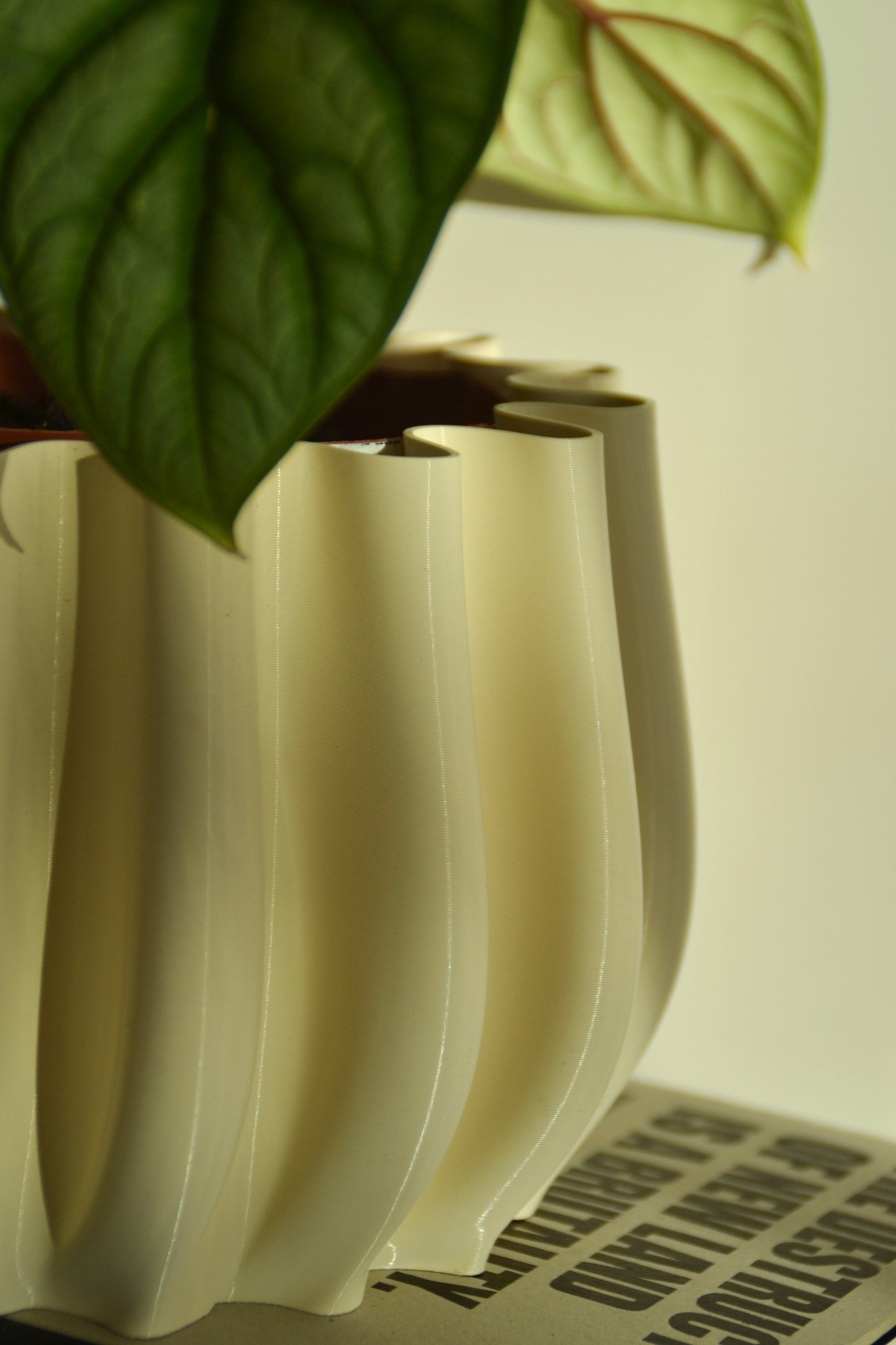 Vaso per piante, Ø 14 cm